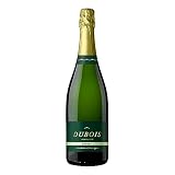 Diferencia entre cava y vino espumoso: análisis y comparativa de las mejores opciones