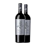 Juan Gil Etiqueta Plata 12 Meses Monastel de Rioja Jumilla Botella Magnum 1,5 L Vino tinto (Caja de 2 Botella Magnum de 1,5 L)