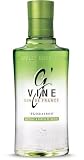 G-Vine - Floraison Ginebra Premium 70cl | Ginebra Artesanal, Sabor Suave y Elegante, Destilada con Ingredientes Naturales, Origen Francés - 40% vol