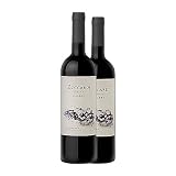 Zuccardi Serie A Malbec Valle de Uco 75 cl Vino tinto (Caja de 2 Botellas de 75 cl)