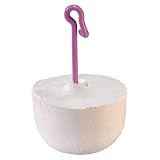 ARQUIVET Cal para Loros 20 gr - Bloque Mineral con YODO para pájaros - Complemento alimenticio para Todas Las Aves domésticas - Accesorios para pájaros - Piedra para Aves