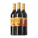 **Bodega a la Venta: Comparativa de los Mejores Vinos y Bebidas para Invertir**