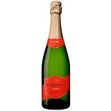 Marques de Monistrol Brut: análisis y comparativa de este cava entre los mejores vinos espumosos