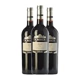 Sommos Colección Merlot Somontano Crianza 75 cl Vino tinto (Caja de 3 Botellas de 75 cl)