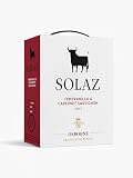 Vino tinto D.O. Tierra de Castilla Solaz Bag In Box Vino Tinto - 3L