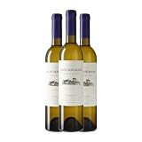 Pazo de Señorans Albariño Rías Baixas Botella Medium 50 cl Vino blanco (Caja de 3 Botella Medium de 50 cl)
