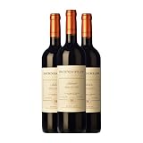 Hacienda Solano Selección 2021: Análisis y Comparativa de este vino
