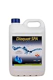 Algicida ULTRACONCENTRADO DIAQUAT SPA 5 L no espumante - Efecto CLARIFICANTE de Larga duracion - Antialgas de acción rápida - Apto para Liner
