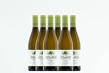 BODEGAS ARAGONESAS - COTO DE HAYAS VERDEJO | Vino Blanco Denominación de Origen Campo de Borja | Variedad 100% Verdejo | Caja de 6 Botellas -0,75L/botella