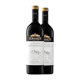 Sommos Colección Cabernet Sauvignon Somontano Crianza 75 cl Vino tinto (Caja de 2 Botellas de 75 cl)