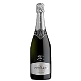 **Brut Ferrari: Análisis y Comparativa de los Mejores Vinos Espumosos**