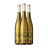 **Vino Gessami: análisis y comparativa de los mejores caldos para elegir el ideal**
