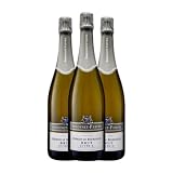 Taittinger Simonnet-Febvre Cuvée Brut Crémant de Bourgogne 75 cl Espumoso blanco (Caja de 3 Botellas de 75 cl)
