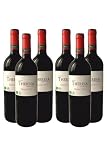 Pack 6x Vino Tinto Eco Sin Sulfitos 750ml | Theresa | Vino Ecológico Español | Botellas de Vidrio