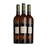 González Byass Viña AB Amontillado Palomino Fino Manzanilla-Sanlúcar de Barrameda 12 Años 75 cl Vino generoso (Caja de 3 Botellas de 75 cl)
