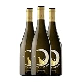 Viñedos Singulares Luna Creciente Albariño Rías Baixas 75 cl Vino blanco (Caja de 3 Botellas de 75 cl)