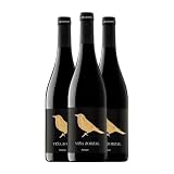 Viña Zorzal Garnacha Navarra Crianza 75 cl Vino tinto (Caja de 3 Botellas de 75 cl)