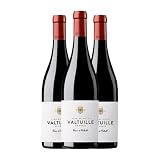Estévez Versos de Valtuille Vino de Villa Mencía Bierzo 75 cl Vino tinto (Caja de 3 Botellas de 75 cl)