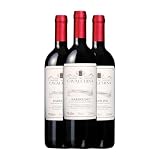 Cavalchina Bardolino 75 cl Vino tinto (Caja de 3 Botellas de 75 cl)