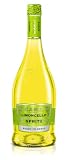 CANTI Limoncello Spritz listo para beber, 8% vol. Una mezcla espumosa que equilibra la vivaz acidez cítrica del limoncello con la ligera frescura de unas burbujas finas. (1 x 750 ml)