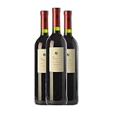 Bodegas Aragonesas Fagus de Coto de Hayas Selección Especial Garnacha Campo de Borja Crianza 75 cl Vino tinto (Caja de 3 Botellas de 75 cl)
