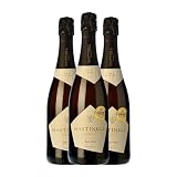 Cava Mastinell: Análisis y Comparativa de Este Cava frente a las Mejores Opciones