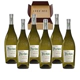 Vino Blanco Protos Verdejo - x6 Botellas Vino Blanco Rueda 100% Verdejo x75 cl - Mejor Selección ENOVINOS