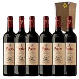 Protos Reserva 5º año - Ideal para Maridar con Carne y Comida Mediterránea - Pack 6 Botellas 75cl