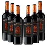 Sierra Cantabria Colección Privada - Ideal para Maridar con Carne y Comida Mediterránea - Pack 6 Botellas 75cl