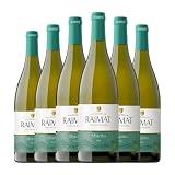 Raimat Saira Albariño Costers del Segre 75 cl Vino blanco (Caja de 6 Botellas de 75 cl)