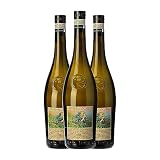 Eladio Piñeiro Envidia Cochina Albariño Rías Baixas 75 cl Vino blanco (Caja de 3 Botellas de 75 cl)