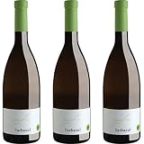 Vino Barbazul: Análisis y Comparativa de los Mejores Vinos y Bebidas Alcohólicas