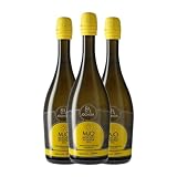 Moscato Ochoa: análisis y comparación de sus notas, aromas y maridajes