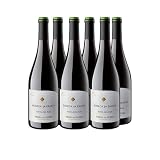 Deliex - Vino Bodega La Ermita Ribera del Duero, Rioja, Jumilla o Toro. 6 botellas de vino tinto a elegir la denominación de Origen (6 Botellas, Duero)