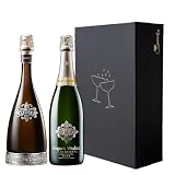 Segura Viudas Pack Regalo Premium, Cava Brut Reserva y Brut Nature Gran Reserva, Estuche Negro de Lujo, 2 Botellas