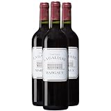 Château Margaux precio: análisis y comparativa de sus vinos destacando calidad, añadas y opciones de compra