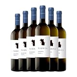 Vionta Albariño: precio y análisis comparativo de los mejores vinos Albariño