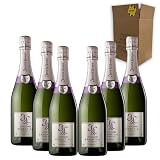 Juvé & Camps Essentia Púrpura - Para Disfrutar en Celebraciones y con los Tuyos - Pack 6 Botellas 75cl