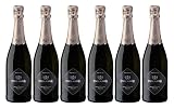 Follador 6 botellas 0,75l