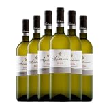 Campo Viejo Azpilicueta Viura Rioja Crianza 75 cl Vino blanco (Caja de 6 Botellas de 75 cl)