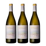 Vino Blanco Petit de Matasnos de 75 cl - D.O. Ribera del Duero - Bodegas Bosques de Matasnos (Pack de 3 botellas)