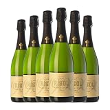Rigol Brut Nature Cava Joven 75 cl Espumoso blanco (Caja de 6 Botellas de 75 cl)
