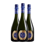 Villa Conchi Imperial Extra Brut Cava 75 cl Espumoso blanco (Caja de 3 Botellas de 75 cl)
