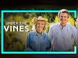 Under the Vines