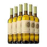 Contreras Ruiz Viña Barredero Blanco Zalema Condado de Huelva 75 cl Vino blanco (Caja de 6 Botellas de 75 cl)