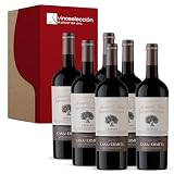 Casa de la Ermita Crianza 2022 Vino Tinto D.O. Jumilla 6 Botellas x 75 cl | Monastrell con Syrah y Cabernet Sauvignon | Más de 6 Meses en Barrica | Viñedo a 700 m en El Carche