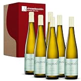 Monopole Verdejo 2025 Vino Blanco Seco D.O. Rueda 6 Botellas x 75 cl