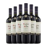 Concha y Toro Casillero del Diablo Merlot Valle de Rapel 75 cl Vino tinto (Caja de 6 Botellas de 75 cl)