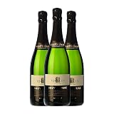 Torelló Brut Nature Cava Gran Reserva 75 cl Espumoso blanco (Caja de 3 Botellas de 75 cl)