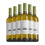 Palacio La Poda Verdejo Rueda 75 cl Vino blanco (Caja de 6 Botellas de 75 cl)